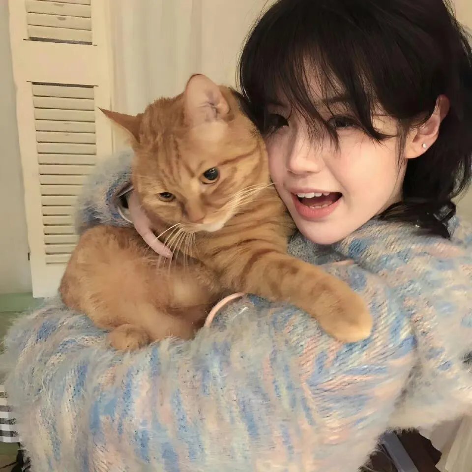 我终于可以不再爱你